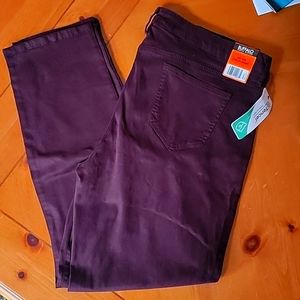 Buffalo David Britton Brand new with tags, deep wine color size 16 jeans